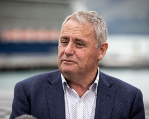 Christchurch mayor Phil Mauger. Photo: RNZ