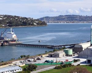 Bulk carrier African Tiger discharges at the Ravensbourne wharf next to the Ravensdown fertiliser...