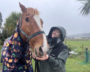 Bobbie Kincaid with retired West Coast RDA horse Cruze. PHOTO: HOKITIKA GUARDIAN