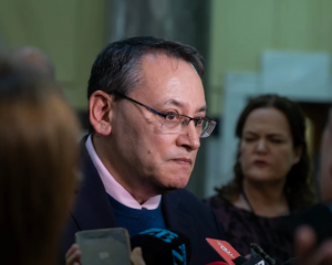 Health Minister Dr Shane Reti. Photo: RNZ 