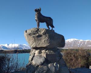 Sheep dog statue, Tekapo.