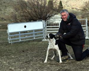 New Zealand transtasman team members Scott Hunter and heading dog Lucy at Berwen Station in...