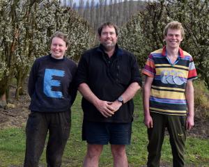 Standing among plum trees on Waitaki Orchards in North Otago are (from left) general manager...