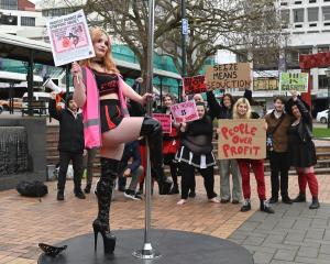 Ex-Stiletto’s stripper Kitten Pasta swings on a pole in the Octagon to protest against conditions...