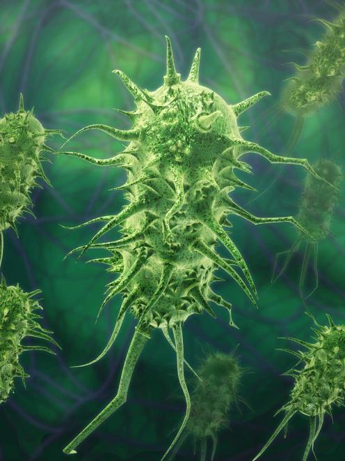 Could there be a way to ''calm'' threatening bacteria? Photo: Getty Images 