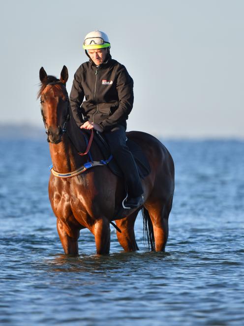 Winx and trackwork rider Ben Cadden relax at Altona Beach in Victoria yesterday. Photo: Getty Images