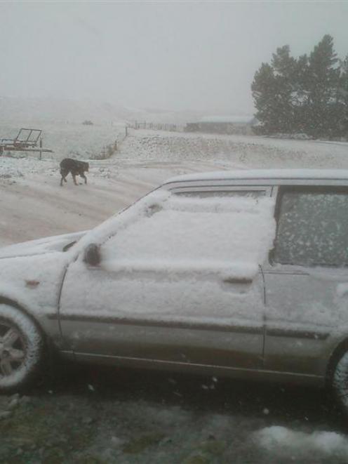 A thin layer of snow settled on a farm near Clinton yesterday,   covering this car. Photo by...