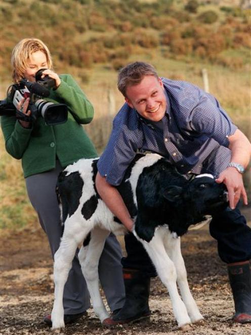 Andrew Mulligan and producer Claire Gibson meet a bovine friend to promote Dunedin student show...