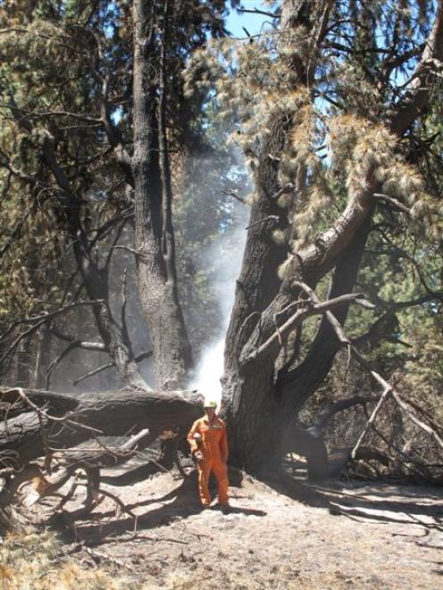 Doc conservation services ranger Steve Ochsner checks a smouldering tree on Motuariki Island,...