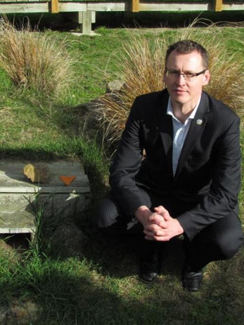 Oamaru Blue Penguin Colony manager Jason Gaskill checks  blue penguin nesting boxes. Photo by...