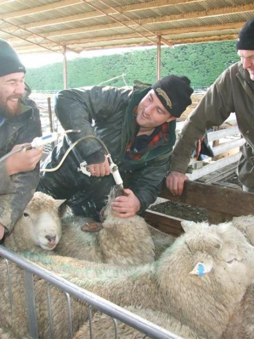 Otago rugby players Peter Mirrielees (left) and Ben Nolan help Murray Tweed with the drenching on...