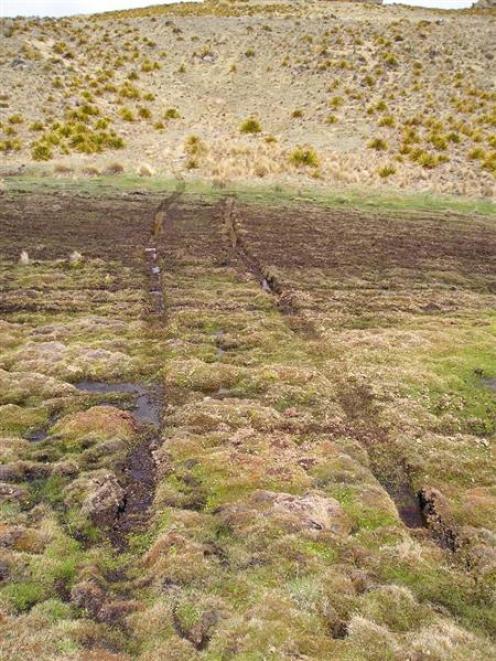 The alpine bog in the Nevis recently damaged by tyre tracks will take 50 years or more to recover...