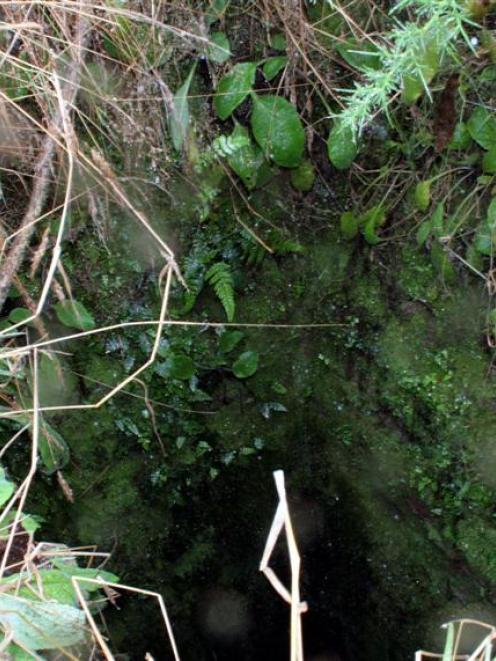 The gold mine shaft that Hindon farmer Greg Wilson and his dog Jock found themselves in. Photo:...