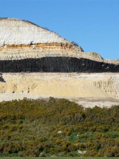 This coal seam was uncovered in the past few weeks in a sand and gravel pit operated by Road...