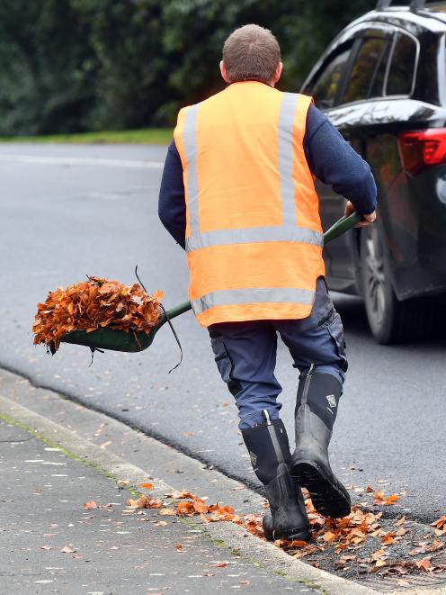 A Dunedin City Council contractor clears leaves from near a mud tank in Hawthorn Ave, Mornington....