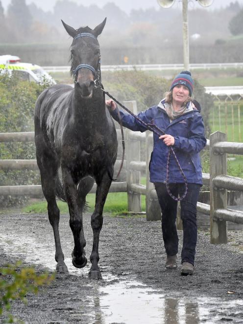 The Wingatui races went ahead despite persistent rain for the first races. After sharing a photo...