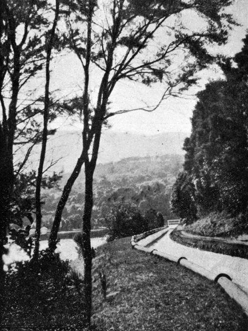 Ross Creek skirts past the eponymous reservoir in a concrete diversion channel. Otago Witness, 11...