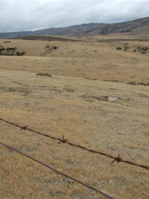 Drought conditions are now widespread in the South Island. Photo: ODT files