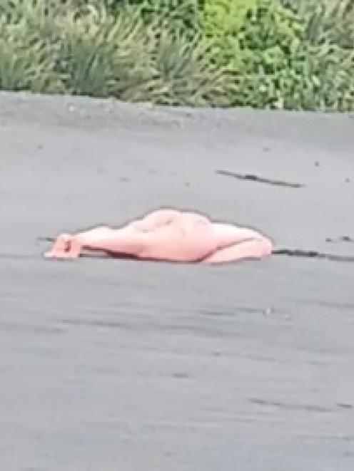 A headless sex doll found on Tapuae Beach, Taranaki. Photo: Alice Cowdrey / supplied