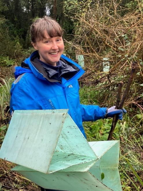 Kate Mathers, of Christchurch, prepares some plant protectors during a working bee at the...