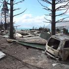 Cars were reduced to burnt-out husks by the fire as it spread  through Ohau Village. PHOTOS:...