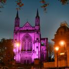 St Paul's Cathedral in Dunedin's Octagon bathed in purple light on Saturday night. Photo: Stephen...