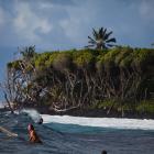 Hawaii is a surfer's paradise. PHOTO: HAWAII TOURISM AUTHORITY/TOR JOHNSON