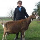 Margaret Tomes and her champion goat Garberdine. Photo by Sally Rae.