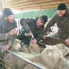 Otago rugby players Peter Mirrielees (left) and Ben Nolan help Murray Tweed with the drenching on...