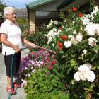 Pat Braddick, of Clyde, waters  her flower garden yesterday. She said she would be ''not...