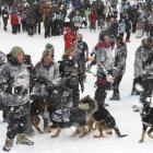 Shepherds encourage their dogs to the finish during last year's Speight's Dog Derby at Coronet...