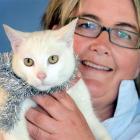 SPCA Otago executive officer Sophie McSkimming with Santa Claws at the Opoho animal shelter, in...