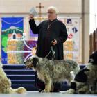 The Anglican Dean of Dunedin, the Rev Dr Trevor James, and his 8-year-old English setter, Mac,...