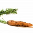 dirty_carrot.JPG