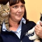 SPCA Otago business development manager Kirsty Thomson with two of the scores of kittens...