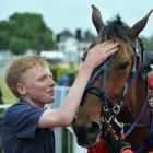 Ben Hope, son of Monbet’s co-trainers, Greg and Nina Hope, pats the champion after his win in the...