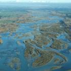 On the list ... The Waitaki River should not be considered ‘‘lost’’, Waitaki Riparian Enhancement...