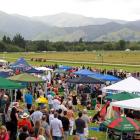 Tauherenikau in the Wairarapa fills up with racing fans every year for the  January 2 meeting....