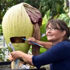 Janice Lord, of the University of Otago botany department, shows how pollen is extracted from the...
