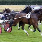 Oamaru trotter Neverneverland and driver Craig Ferguson have their rivals covered at the finish...