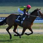 Jockey Chris Johnson guides The Precious One to a runaway win in her race debut at Oamaru...