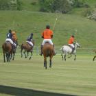 Polo players battle it out during a match between Christchurch and Auckland on Saturday. Photo:...