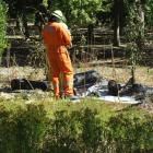 Fire crews in Alexandra check the scene after a fire that was caused by a tree falling on to a...