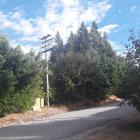 PowerNet power lines surround power lines in Strode Ave, Naseby. A Naseby resident is worried the...