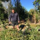 Alexandra Bridge Hill resident Geoff McHardy looks over a tree he believes Aurora Energy claims...