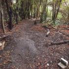 Makeshift mountain bike obstacles at Plynlimon Park constructed by local children inspired the...