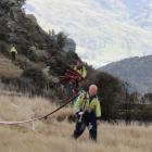 Firefighters at the scene of the grass fire near Roxburgh. Photo: Yvonne O'Hara