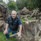 Halswell Residents’ Association chairman John Bennett with the matai trees. Photo: Geoff Sloan   ...