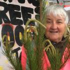 Moana House programme manager Claire Aitken stands beside one of dozens of Christmas trees ready...