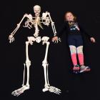 Piper McGaw (7), of Dunedin, enjoys a close encounter with a simulated skeleton, provided by the...